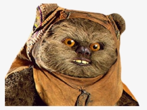 Lien Direct, - Great Horned Owl #1880369