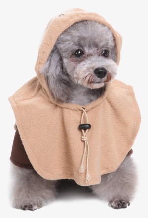 Star Wars Ewok Dog Costume Dog Costumes Pet Threads #1880744