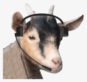 Tin Shed Garden Cafe #1881295