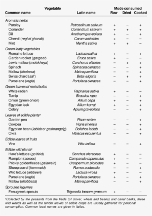 Dark Green Leafy Vegetables Commonly Consumed By Egyptians - List Of Green Leafy Vegetables #1881297