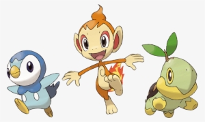 Piplup, Chimchar And Turtwig Please Adopt One They - Piplup Chimchar O Turtwig #1881438