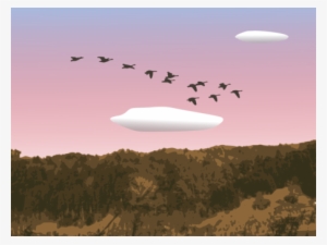 Goose Sky Bird Landscape Cloud - Surviving Stress: Rediscover The Awesome You! #1881761