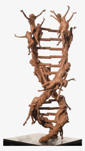 “the Double Helix Xx-xy” Imagines An Animated Strand - Dna Double Helix Art #1881971