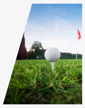 Notable Features - Golf #1882092