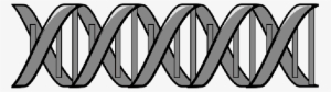 Mb Image/png - Biology #1882141
