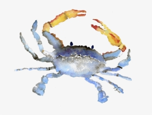 Cornelius The Crab Watercolor - Watercolor Crab Transparent Background #1882291