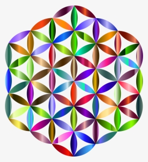 Women's Short Sleeve T-shirt - White M #1882488