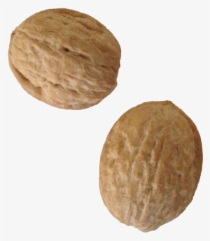 Walnutshellssplit #1882598