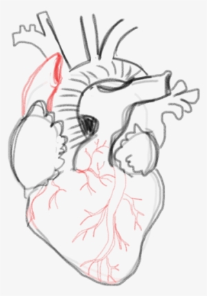 By This Point We're Really Close To Being Finished - Drawing #1883321