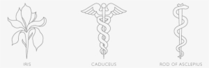 In The Meso Logo, I Chose To Incorporate The Serpent - Rod Of Asclepius Logos #1883764