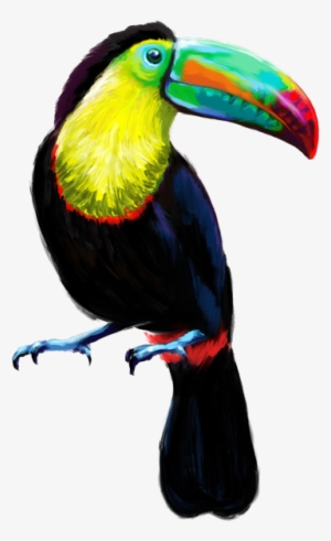 Tucan Baja Transparente - Toucan #1883914