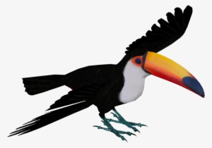 Toco Toucan - Toco Toucan Transparent #1883997