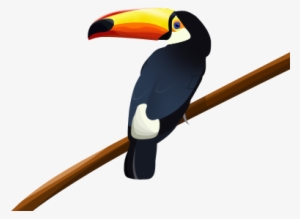 Vectorización De Un Tucan - Toucan #1884015