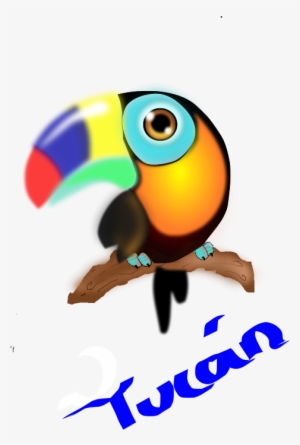 How To Set Use Tucan Colombiano Clipart #1884048