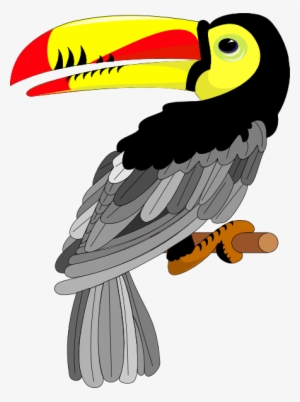 Toucan Clipart Outline - Toucan Flying Clipart With Transparent Background #1884397
