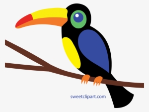 Toucan Cliparts - Toucan Clipart #1884440