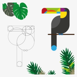 Tucan 5 08 08 08 #1884466