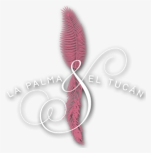 Colombia La Palma & El Tucan *heroes Series Geisha* - La Palma Y El Tucan Colombia #1884493