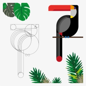 Tucan 4 08 08 #1884776