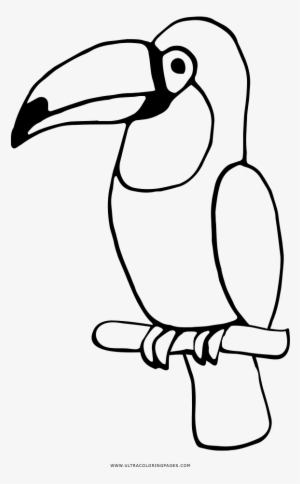 Toucan Coloring Page - Tucan Para Colorear #1884794