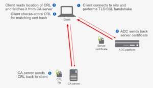 Certificate Revocation 3 - Certificate Revocation List #1888785