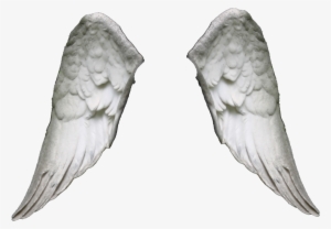 The Gallery For > Realistic Angel Wings Png - Angel #1889508