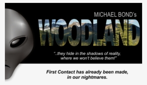 Woodland Ufo Movie Image - Woodland Movie #1890402