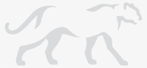 Background-catfacts Itok=bz8fdt6r - Panthera Org #1890881