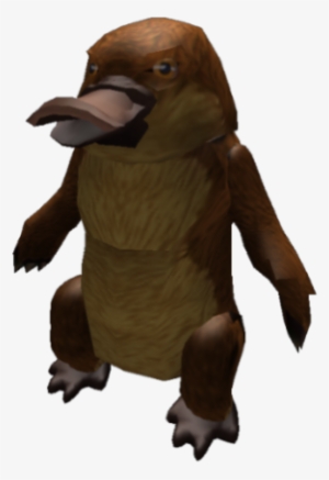 Platy The Platypus - Roblox Platypus #1891196