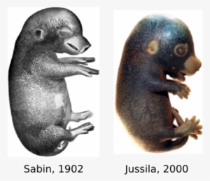 The Jeltsch Laboratory - University Of Helsinki #1891220