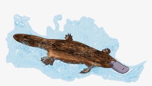 #eleeart Hashtag On Twitter - Alligator #1891239