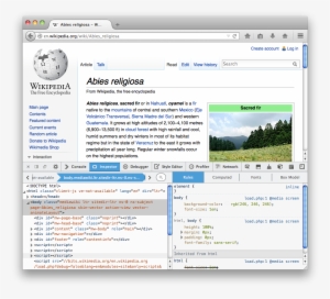 The Window Itself Is Split Into Two Parts - Wikipedia #1892105