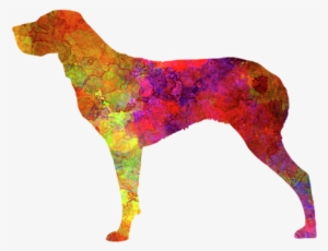 Click And Drag To Re-position The Image, If Desired - Weiler Pointer Im Watercolor Grußkarte #1892337