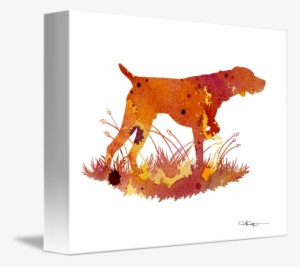 "german Shorthaired Pointer" By David Rogers - German Shorthaired Pointer #1892389