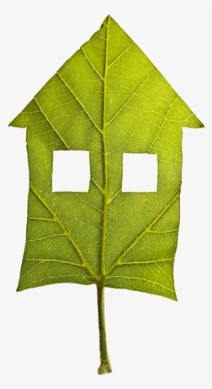 5 Ways To Reduce Energy Use Outdoors - Bari #1892722