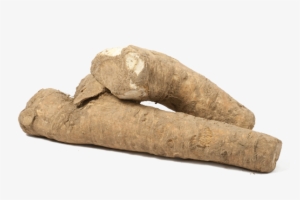 Horseradish Crowns - Blog #1892763