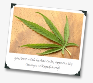 800px-cannabis Sativa Leaf Dorsal Aspect 2012 01 23 - Cannabis #1892888