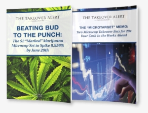 Subscribe Now - Marijuana Facts: Everything You Need To Know #1893171