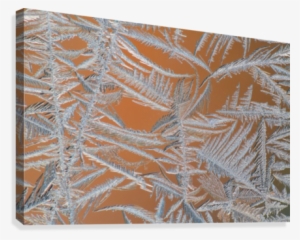 Ice Crystals On A Window #1894499