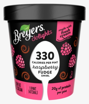 A 16 Ounce Tub Of Breyers Delights Raspberry Fudge - Breyers Delights Butter Pecan #1894839