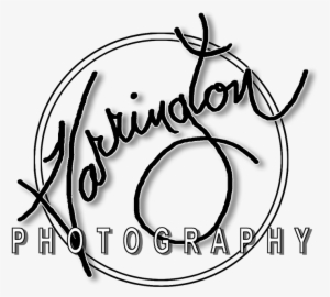 Photography #1895199
