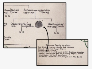 Black Family Tree Cedrella #1895535 Black Family Tree Cedrella #1895535
