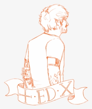 Vector Download Amazing Fanart Pinterest Shawn Mendes - Rostro Para Dibujar De Ed Sheeran #1896019