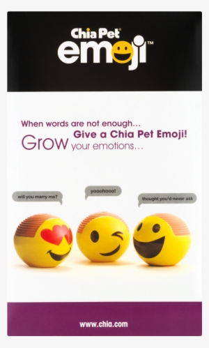 As Seen On Tv Chia Pet Emoji "winky" #1896081