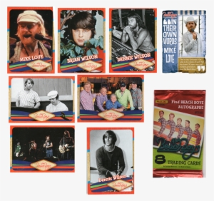 Next Was A Random 6 Trading Cards Pack 1 Is Supposed - Brian Wilson #1896882