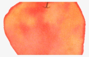 Apple Square Sticker 3" X 3" #1897945