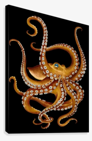 Brown Bronze Octopus Blue Eye Tentacles - Watercolor Painting #1898141