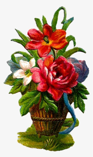 Pretty - Lily #1898534