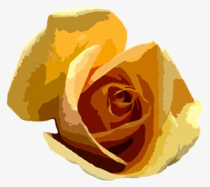 Flower Floral Botanical Plant Nature Botan #1898835 Flower Floral Botanical Plant Nature Botan #1898835