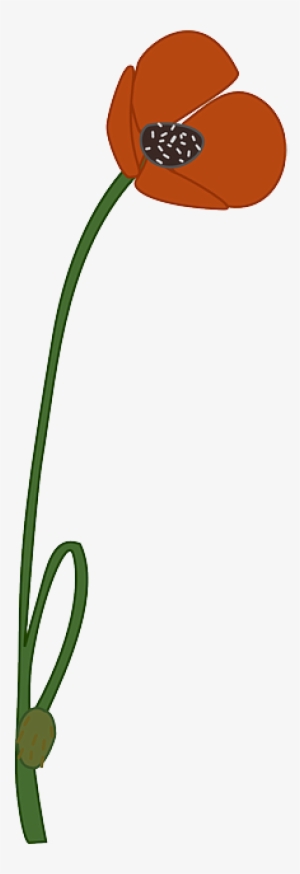 Poppy, Flower, Bloom, Red, Blossom, Plant - Poppy Clipart #1898970